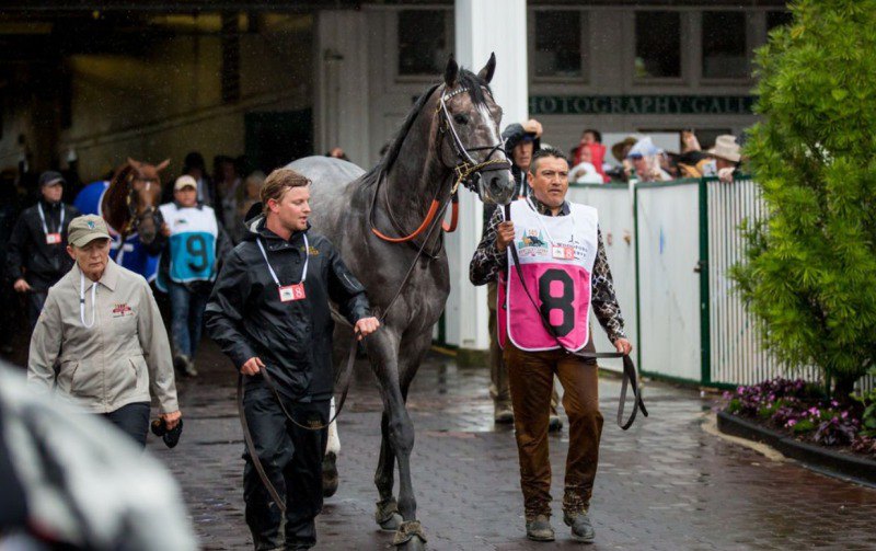 Ипподром Churchill Downs, скачка Kentucky Derby presented by Woodford Reserve (Gr. 1) 2019 год, 3 место.