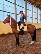 Универсальный пони