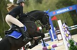 МАРШРУТЫ 120, ВЫСОКИЙ