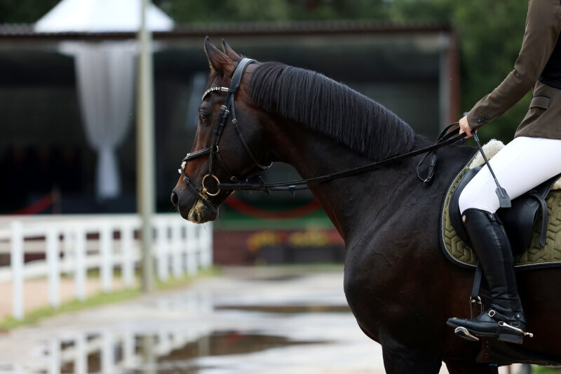 ПАЛЕХ-10 и Люльченко Олеся