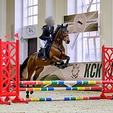 МЕРИН В ЛЮБУЮ ДИСЦИПЛИНУ 