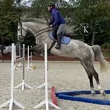 ЛИНИЯ CORNET OBOLENSKY 