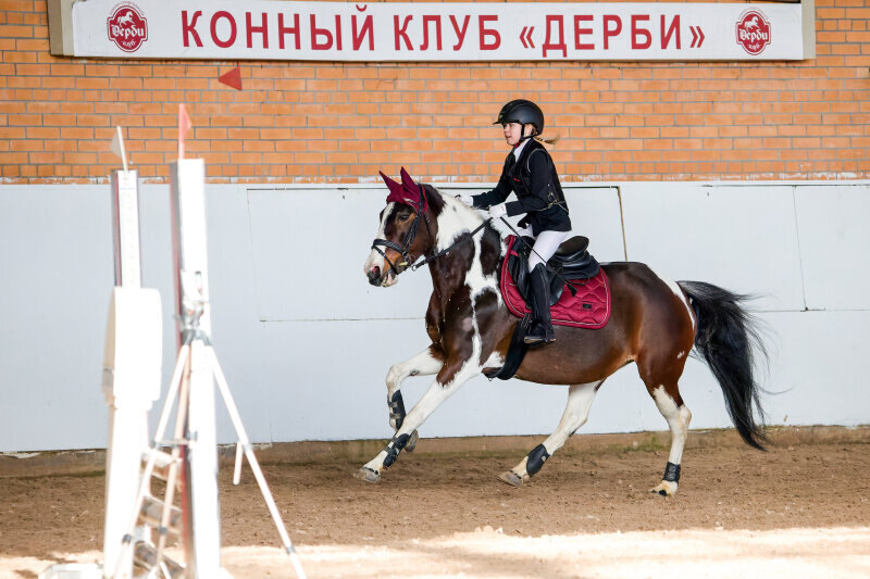 ЭКЗОТИКА-17 (142) и Бердникова Злата