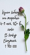 Ищем в конкур ! Есть 1 700 000.