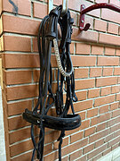 Мундштучное оголовье Bonjour Toto 