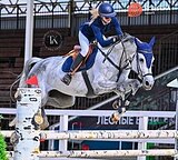 КОБЫЛА НА МАРШРУТЫ 140 СМ