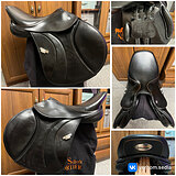 BUTTERFLY THOMAS MUHLBAUER 17’