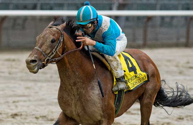 десятилетнего жеребца. Ипподром Belmont Park 2013 год, скачка Brooklyn Handicap - Gr. 2