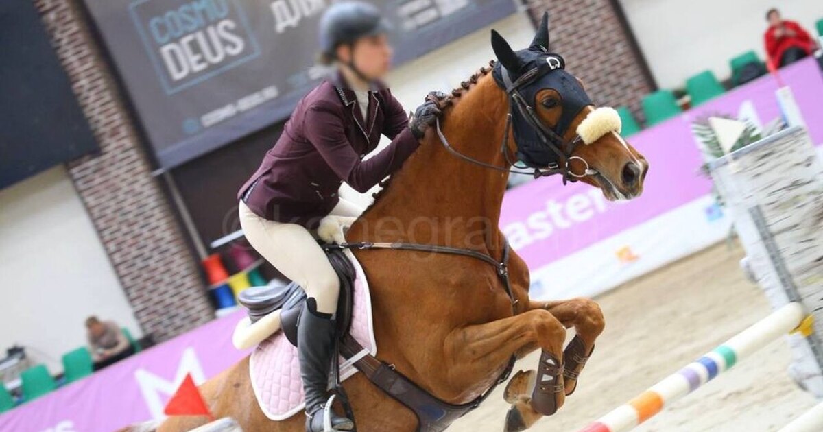 Эквестриан конный спорт. Лошадь под. Оседланная лошадь. Конь с седлом. Лошадь под.