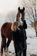 голубоглазый маршруты 100см