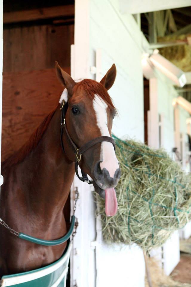 Churchill Downs 2014 год.