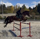 УНИВЕРСАЛЬНАЯ ВЫСОКАЯ