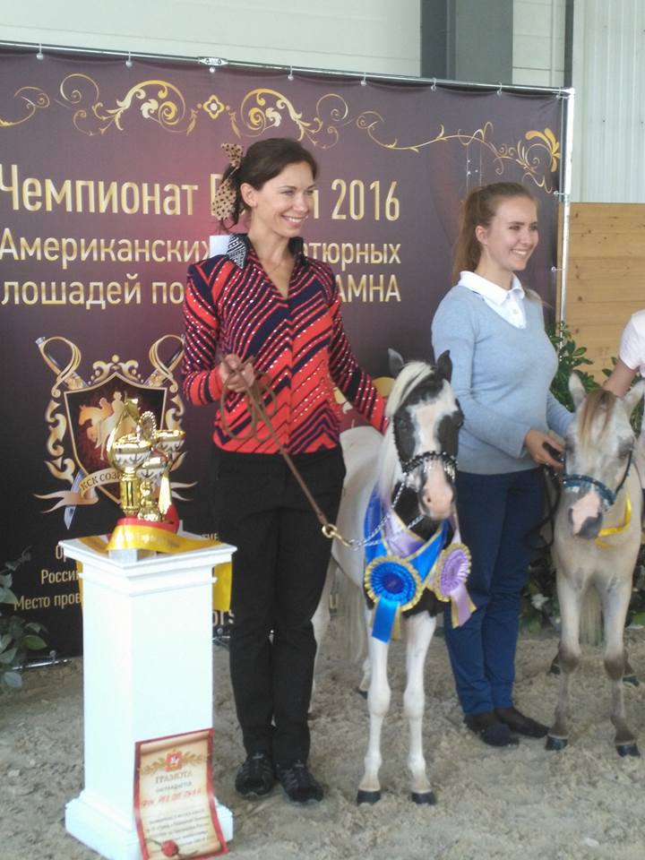 Американские миниатюрные лошади фермы Идальго традиционно выиграли все крупнейшие выставки в России.
