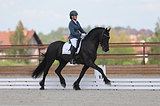 Diamond (75% езды по 4хлетним)