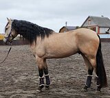 Срочная продажа!