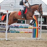 СТАРТОВЫЙ ОПЫТ ДО 100 СМ