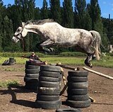 МАРШРУТЫ 100-110, ЭЛЕМЕНТЫ