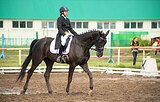 Ганноверская универсальна