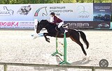 Отличный учитель мер. 2016 гр
