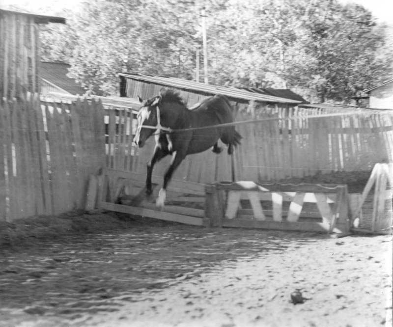 Вертикаль (Лордс-Ванда). 1989г.