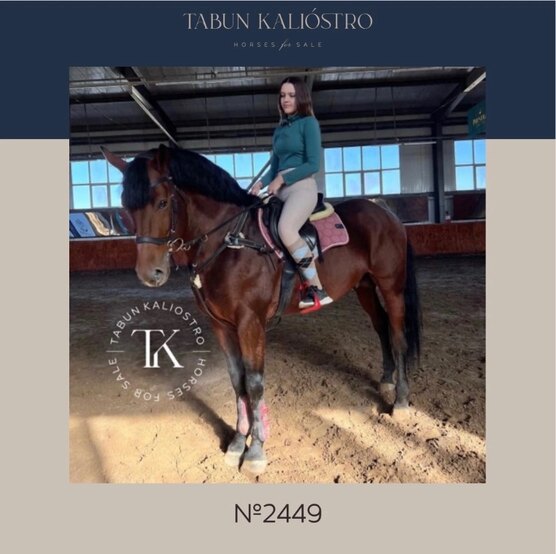 Контактная спортивная