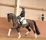 4 года в выездку