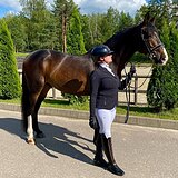 ГОЛШТИНСКИЙ МЕРИН 9 ЛЕТ 