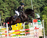 Мерин 2016 гр, 170 вх