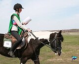 Кобыла 2016 гр, 163 вх