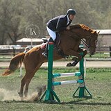 РЫЖИЙ БУДЕННОВСКИЙ ЖЕРЕБЕЦ