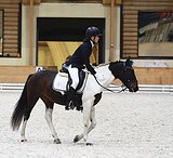 ДЕТСКИЕ ЕЗДЫ, НРАВИТСЯ СУДЬ