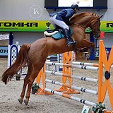 МАРШРУТЫ 120, СВЯЗКИ 135 