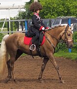 ПОНИ-КЛАСС В СПОРТ 