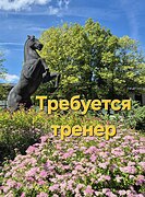 Требуется тренер