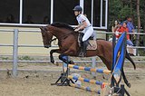 Срочно! Буденновский жеребчик в спорт!