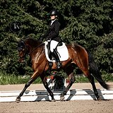 ПЕРСПЕКТИВЕН В ВЫЕЗДКУ 