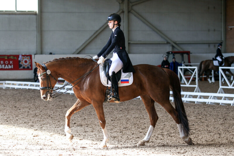 КАЛХАВЕС ДЕ НОРА и Григорьева Юлия
