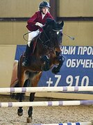 УНИВЕРСАЛЬНЫЙ МЕРИН