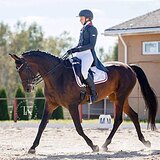 КОБЫЛА В КОНКУР И ВЫЕЗДКУ