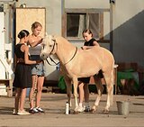 УНИВЕРСАЛЬНЫЙ ПОНИ