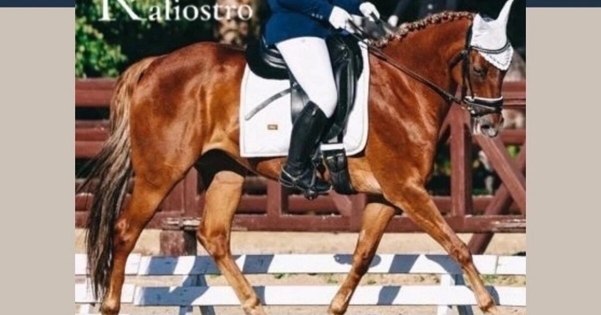 рентген бронхоэктатической болезни. рентген при интерстициальной пневмонии. хрипы рентген чистый. хрипы рентген чистый. хрипы рентген чистый.