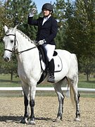 ДК90, МАРШРУТЫ 100, ЗНАЕТ БОКО