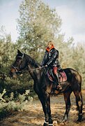 МЕРИН В КОНКУР 