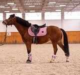 Необыкновенный пони!