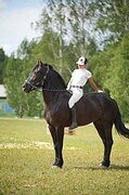 Кобыла полуфриз