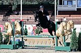 Спортивная кобыла 