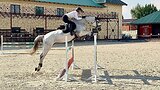 ВЫСОКАЯ ИМПОРТ КОБЫЛА В КОН