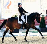 Кобыла в выездку