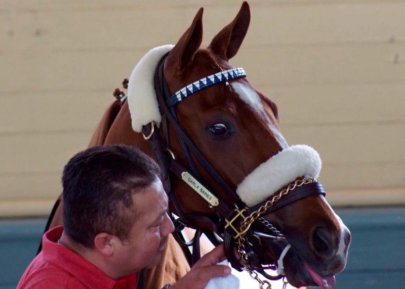 Ипподром Santa Anita Park 2015 год, скачка Maiden Special Weight