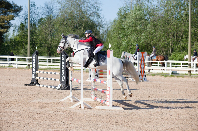 СИЛЬВЕР ШАЙН-19 (142) и Клыковская Елизавета